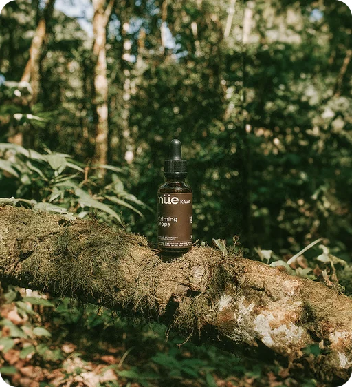 CreativeWise on Instagram