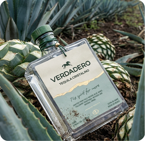 Verdadero Tequila Cristalino bottle in an agave field — AI Photo Studio campaign image by CreativeWise