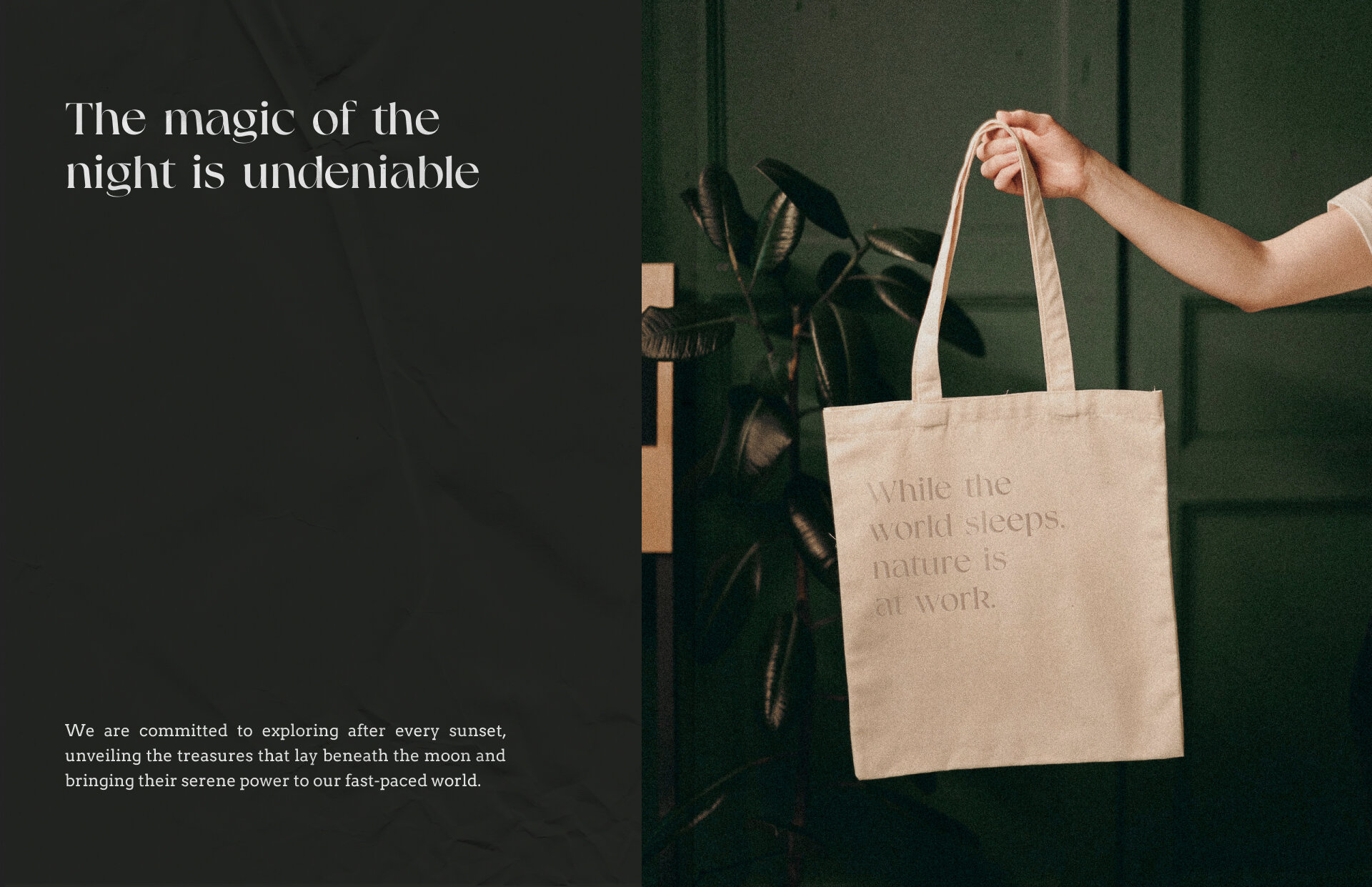 Luna tote bag lifestyle