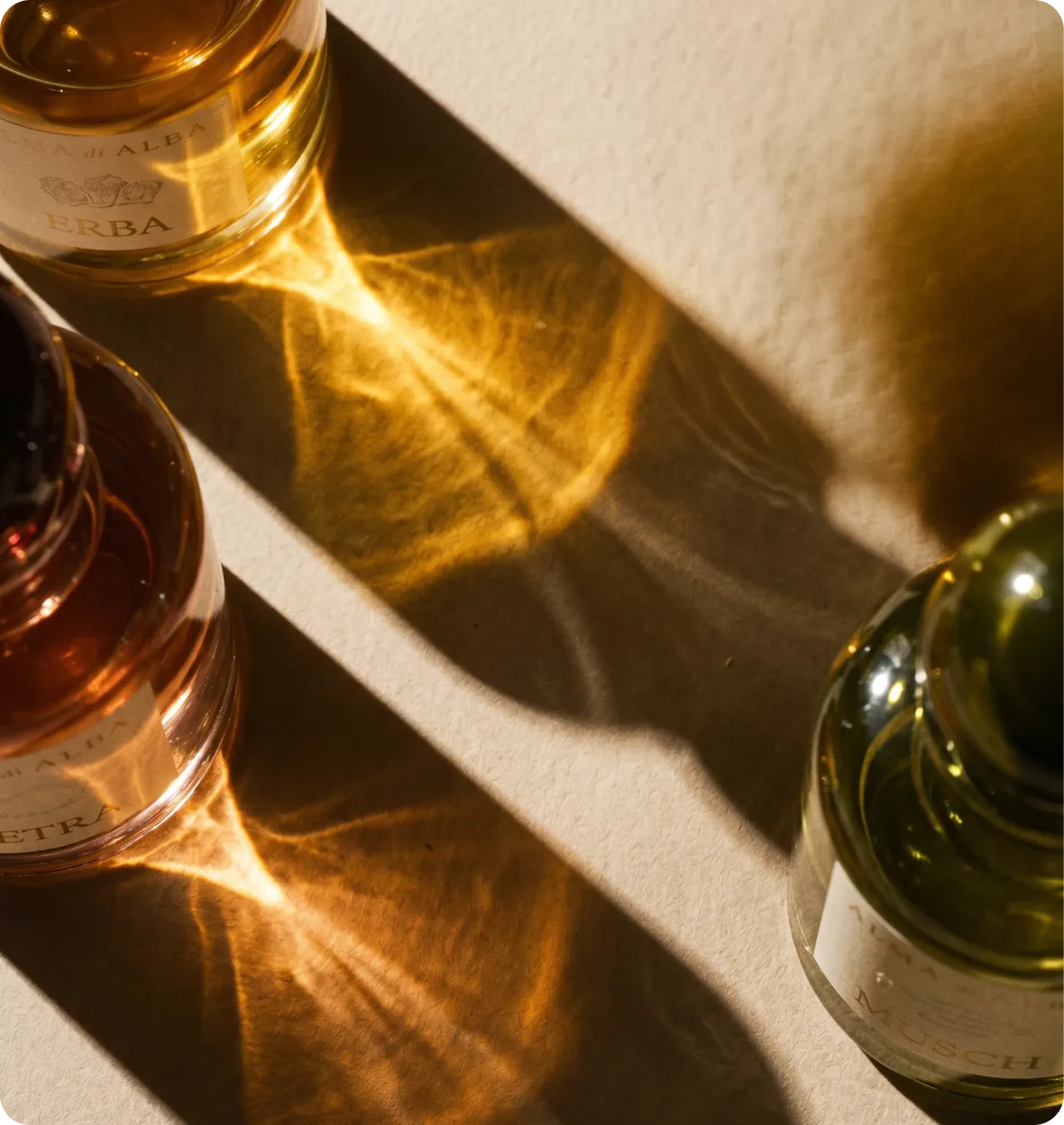 Alma di Alba — top-down view of Erba and Pietra bottles across warm afternoon light and shadow