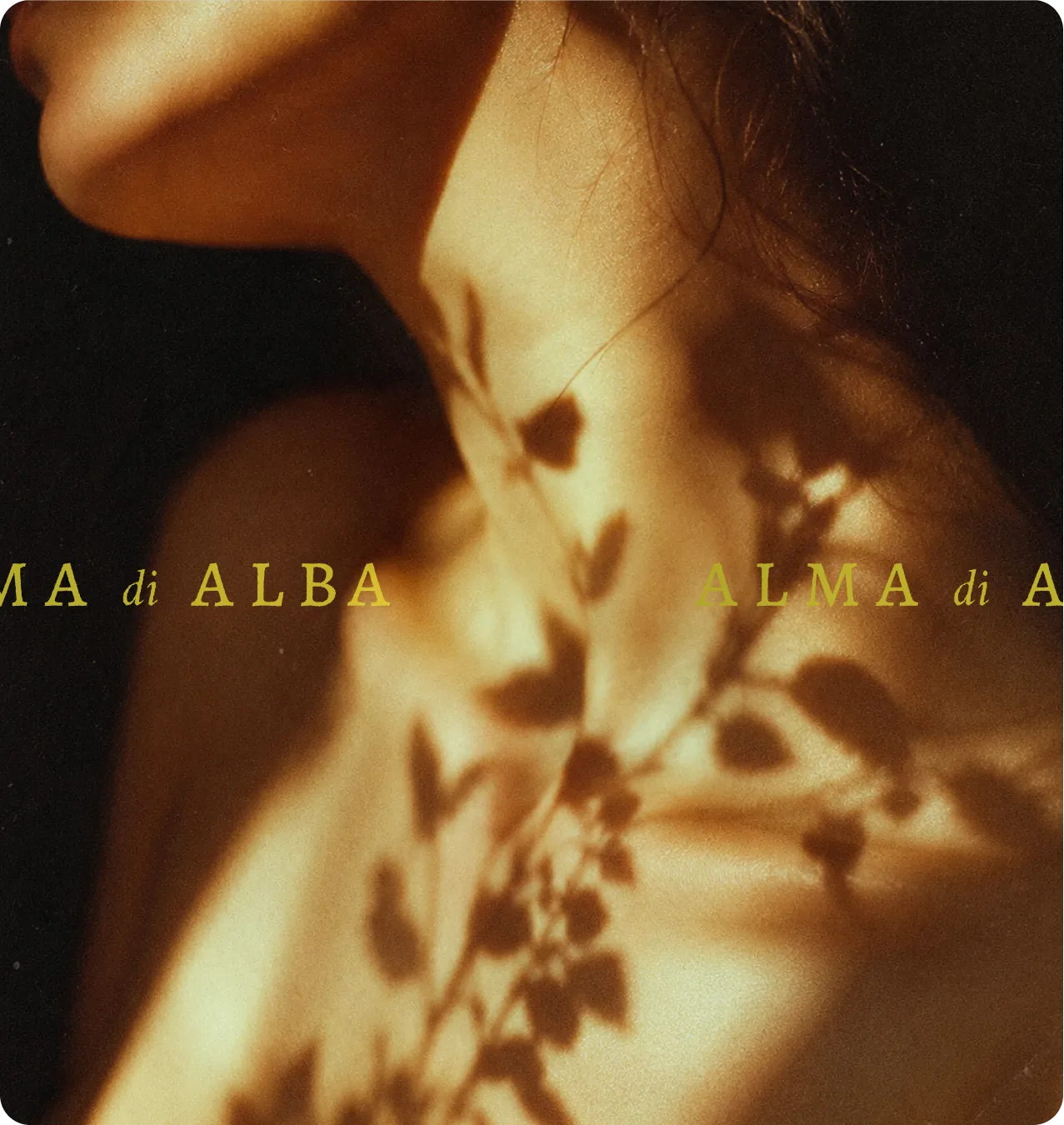 Alma di Alba — editorial closeup: a bottle-and-branch shadow drapes across skin, wordmark repeated across the composition