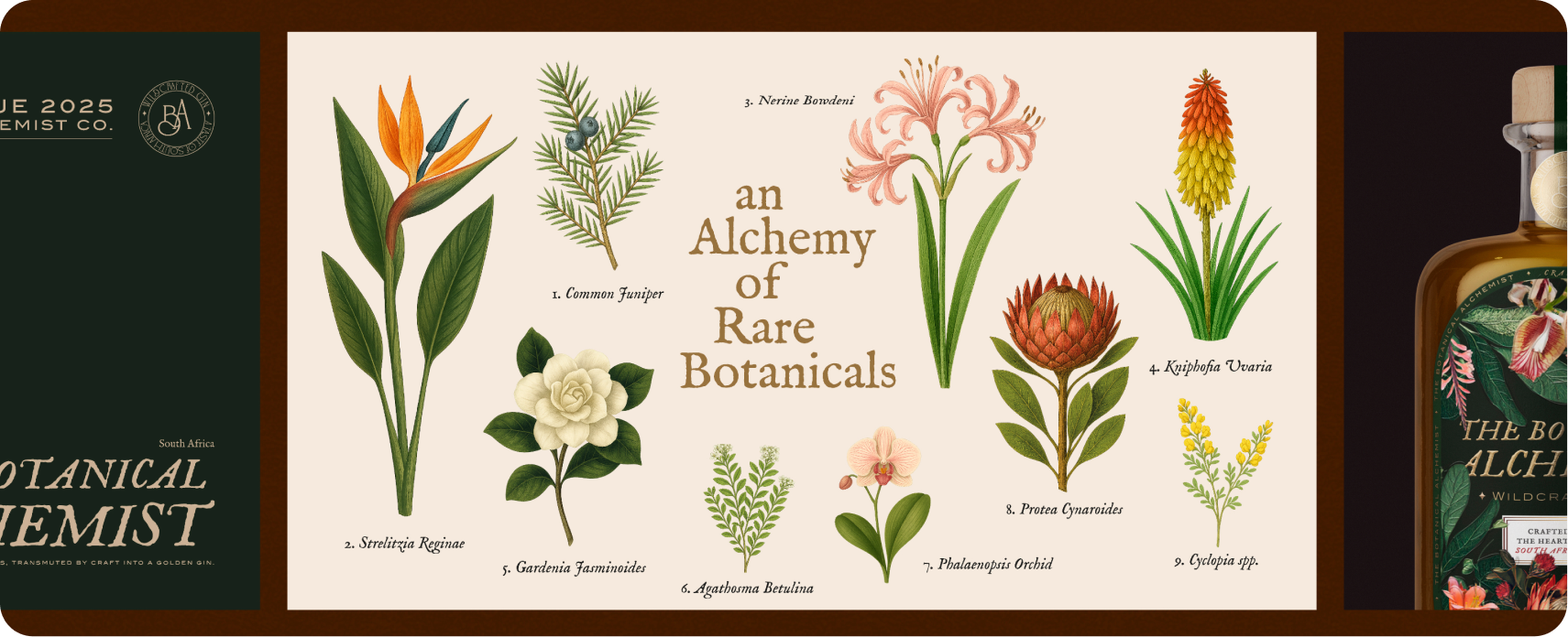 The Botanical Alchemist — packaging design and book mockup on the brand's signature red and pink gradient backdrop