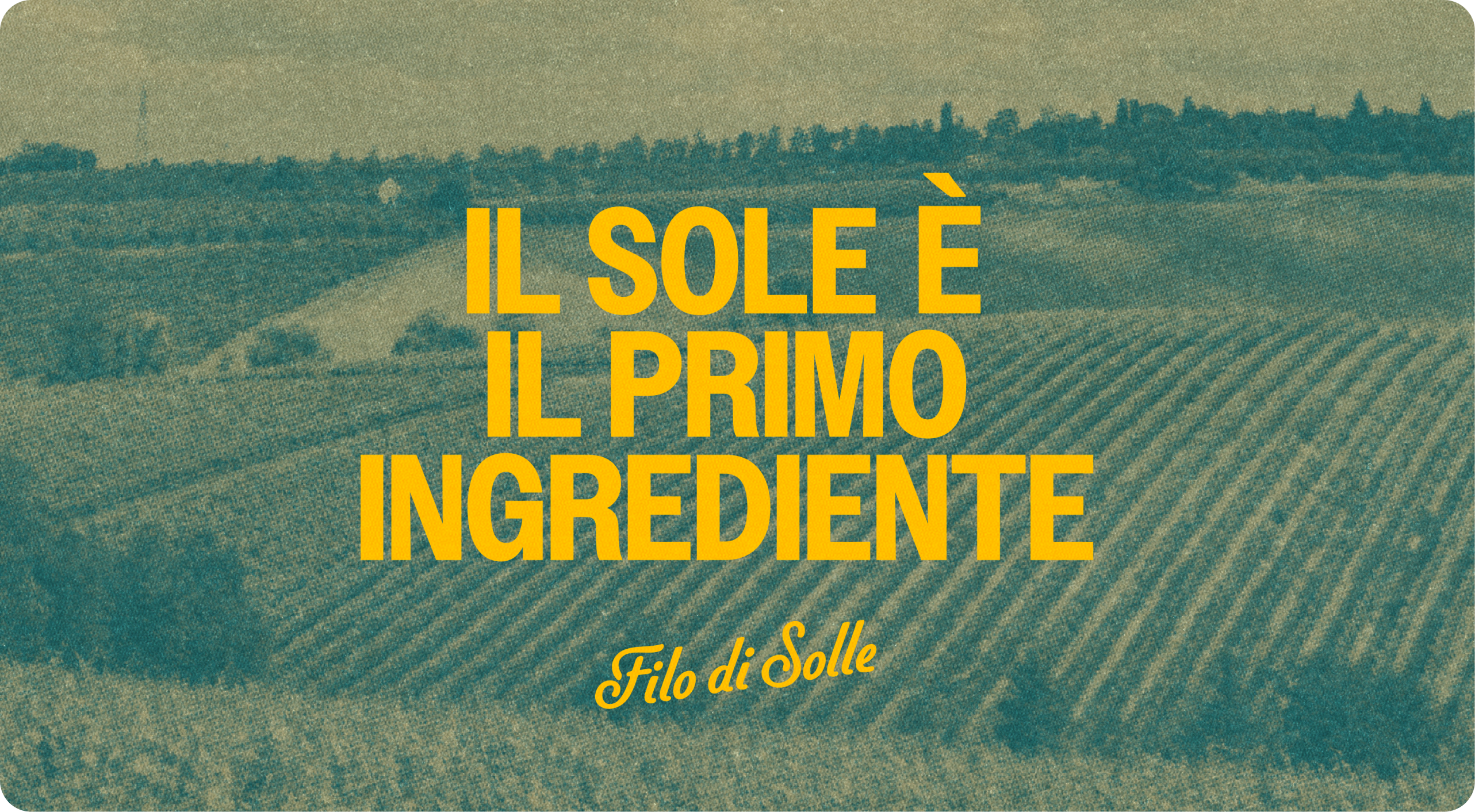 Filo di Solle — multi-SKU packaging system flat lay across pasta and Napoletana sauces