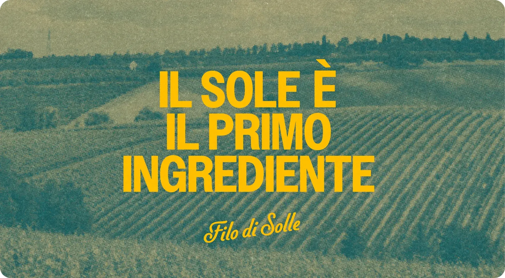 Filo di Solle — food • artisan portfolio thumbnail by CreativeWise