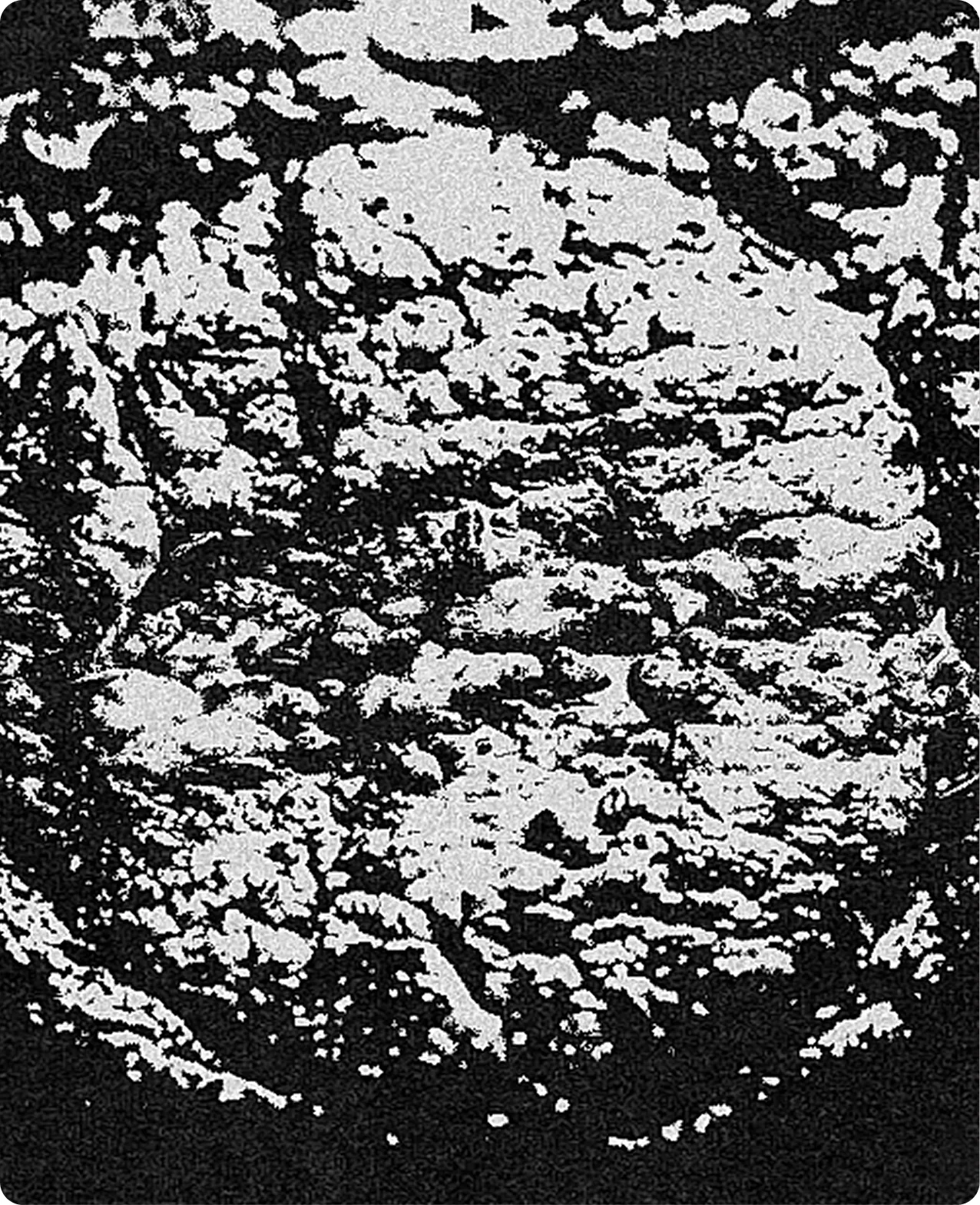 Heatwork: a high-contrast black and white halftone of ember and flame texture, the grain broken into coarse white flecks on black