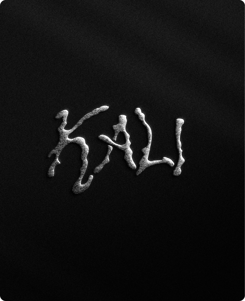 Kali — print collateral and branded ephemera close-up