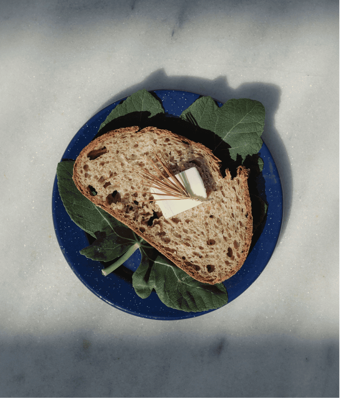Pure — sea salt product in editorial set with natural props