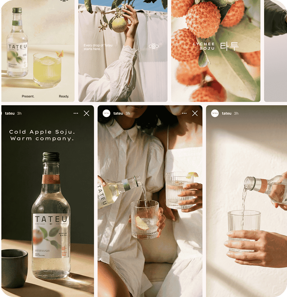 Verdadero Tequila bottle in custom presentation gift box, packaging designed by CreativeWise